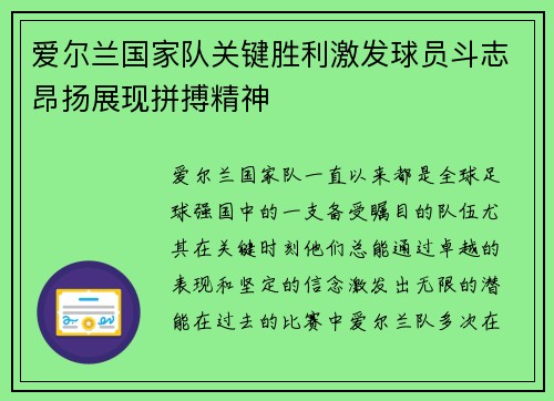 爱尔兰国家队关键胜利激发球员斗志昂扬展现拼搏精神